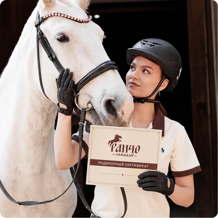 Занятие по верховой езде