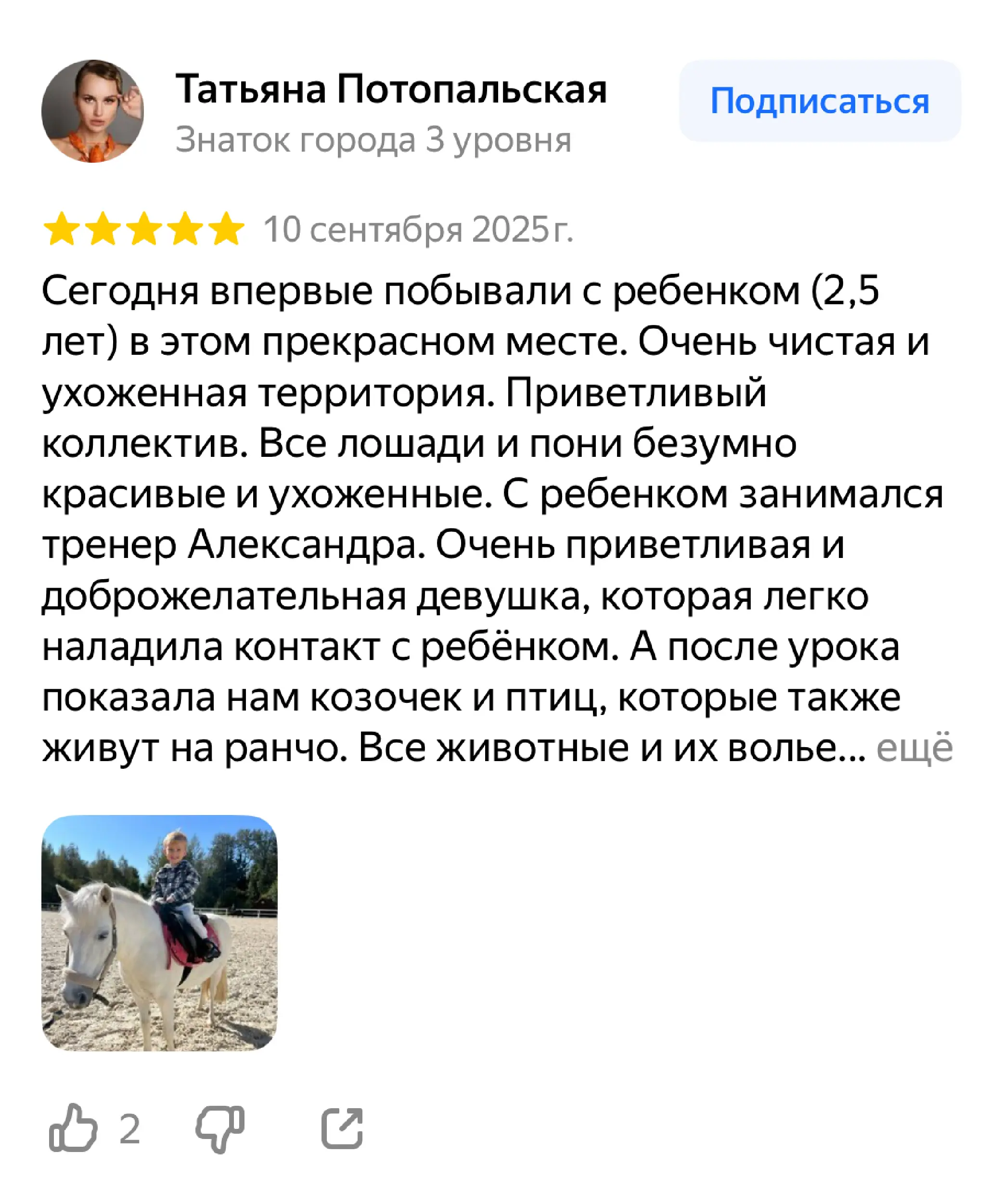 Отзыв №6