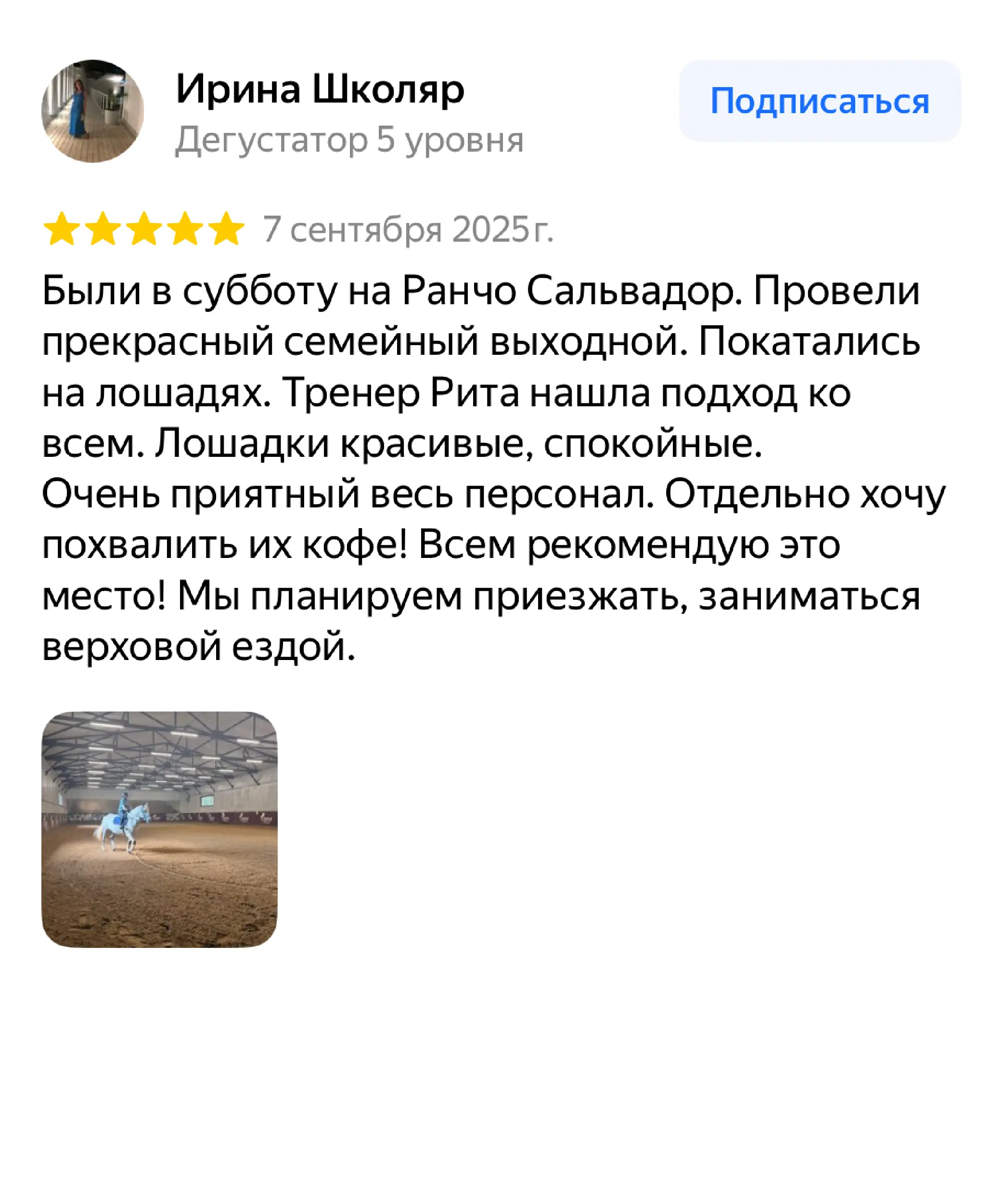 Отзыв №5