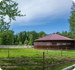 Отдых на природе вдали от городской суеты